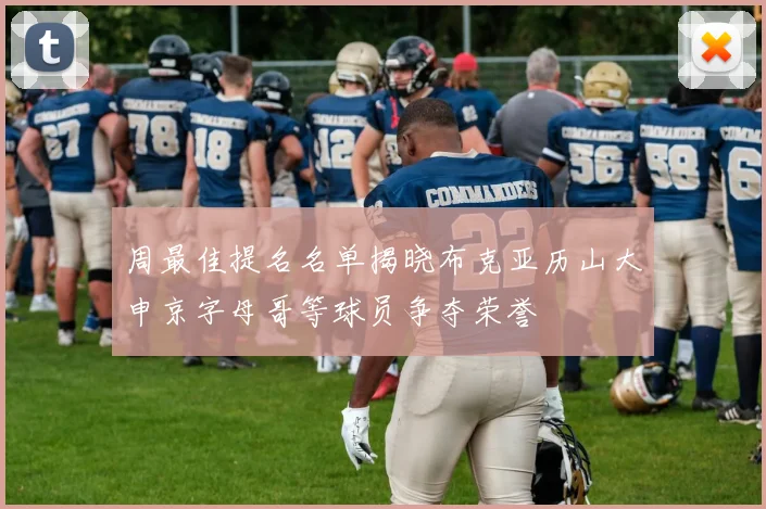 周最佳提名名单揭晓布克亚历山大申京字母哥等球员争夺荣誉