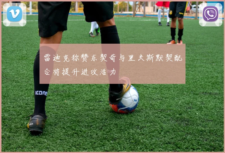 雷迪克称赞东契奇与里夫斯默契配合将提升进攻活力