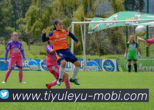 乐鱼体育APP 封面图