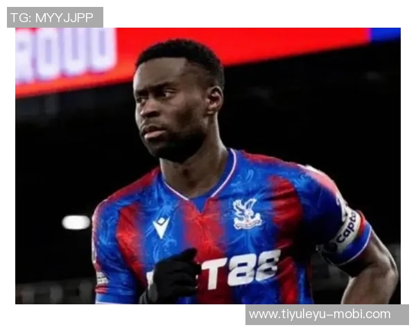 水晶宫计划冬窗出售身价5000万格伊红军将面临皇萨仁激烈竞争 水晶宫计划冬窗出售身价5000万格伊红军将面临皇萨仁激烈竞争